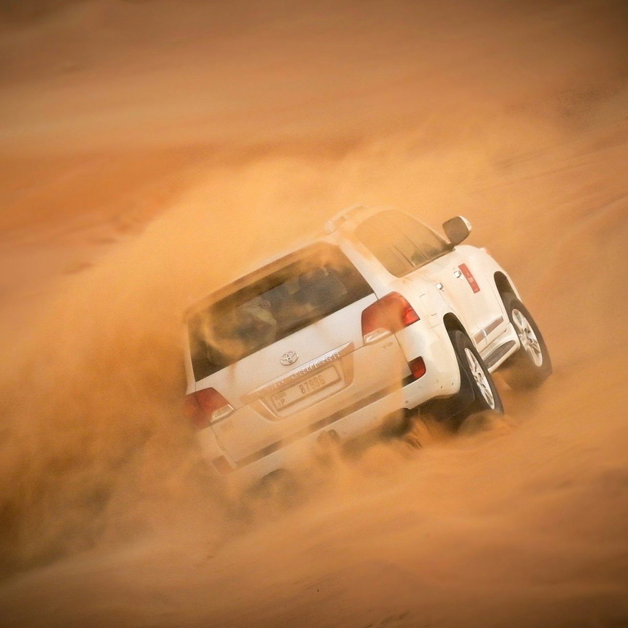 Experience the excitement of racing across the stunning red sands followed by a memorable camel ride and delightful evening entertainment at a traditional desert camp.